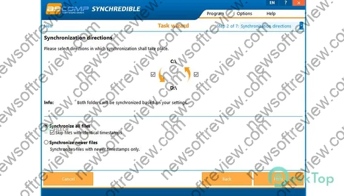 Synchredible Professional Serial key