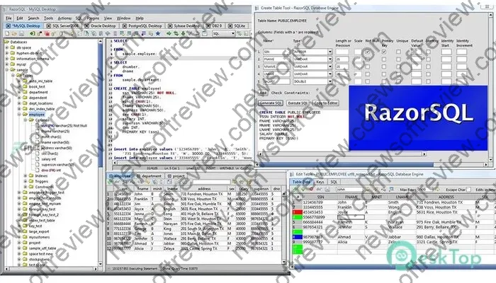 Richardson Software Razorsql Activation key